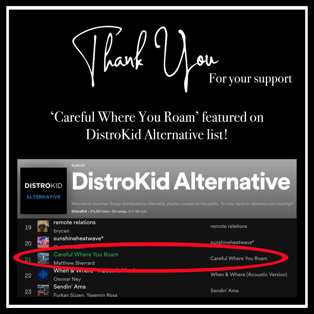Thank you for voting for DistroKid Alternative playlist